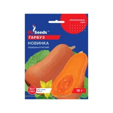 Насіння гарбуза "Новинка" 15 г GL Seeds