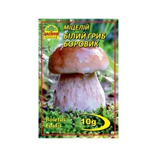 Мицелий гриба "Белый Гриб Боровик" 10 г Насіння Країни