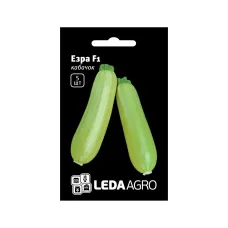 Семена кабачка "Эзра F1" 5 шт LEDA AGRO