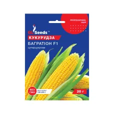 Насіння кукурудза "Багратіон F1" 20 г GL Seeds