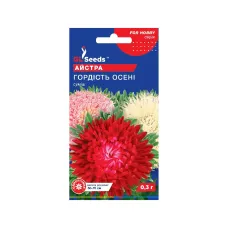 Насіння айстри "Гордість Осені" 0,3 г GL Seeds