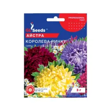 Насіння айстри "Королева ринку" 3 г GL Seeds