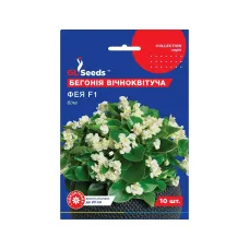 Насіння бегонії вічноквітучої "Фея F1" біла 10 шт GL Seeds