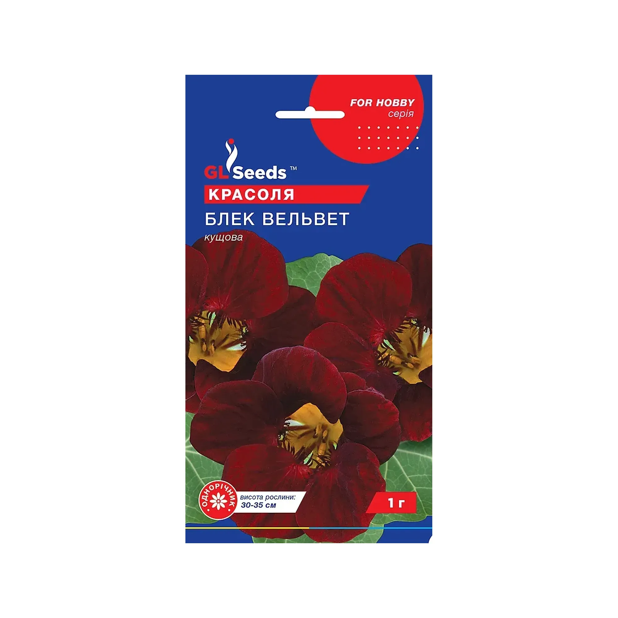 Насіння красолі "Блек Вельвет" 1 г GL Seeds