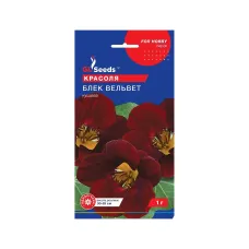 Насіння красолі "Блек Вельвет" 1 г GL Seeds