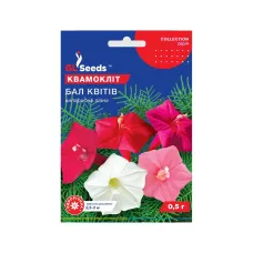 Насіння квамокліту "Бал квітів" 0,5 г GL Seeds