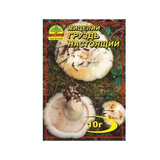 Мицелий гриба "Груздь настоящий" 10 г Насіння Країни
