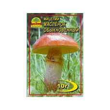 Мицелий гриба "Маслёнок обыкновенный" 10 г Насіння Країни