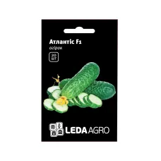 Насіння огірка "Атлантіс F1" 20 шт LEDA AGRO