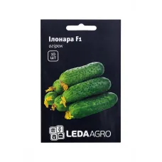 Насіння огірка "Ілонара F1" 10 шт LEDA AGRO