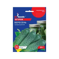 Семена огурца "Сентябрь" 10 г GL Seeds