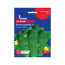 Насіння огірка "Бригадний F1" 5 г GL Seeds
