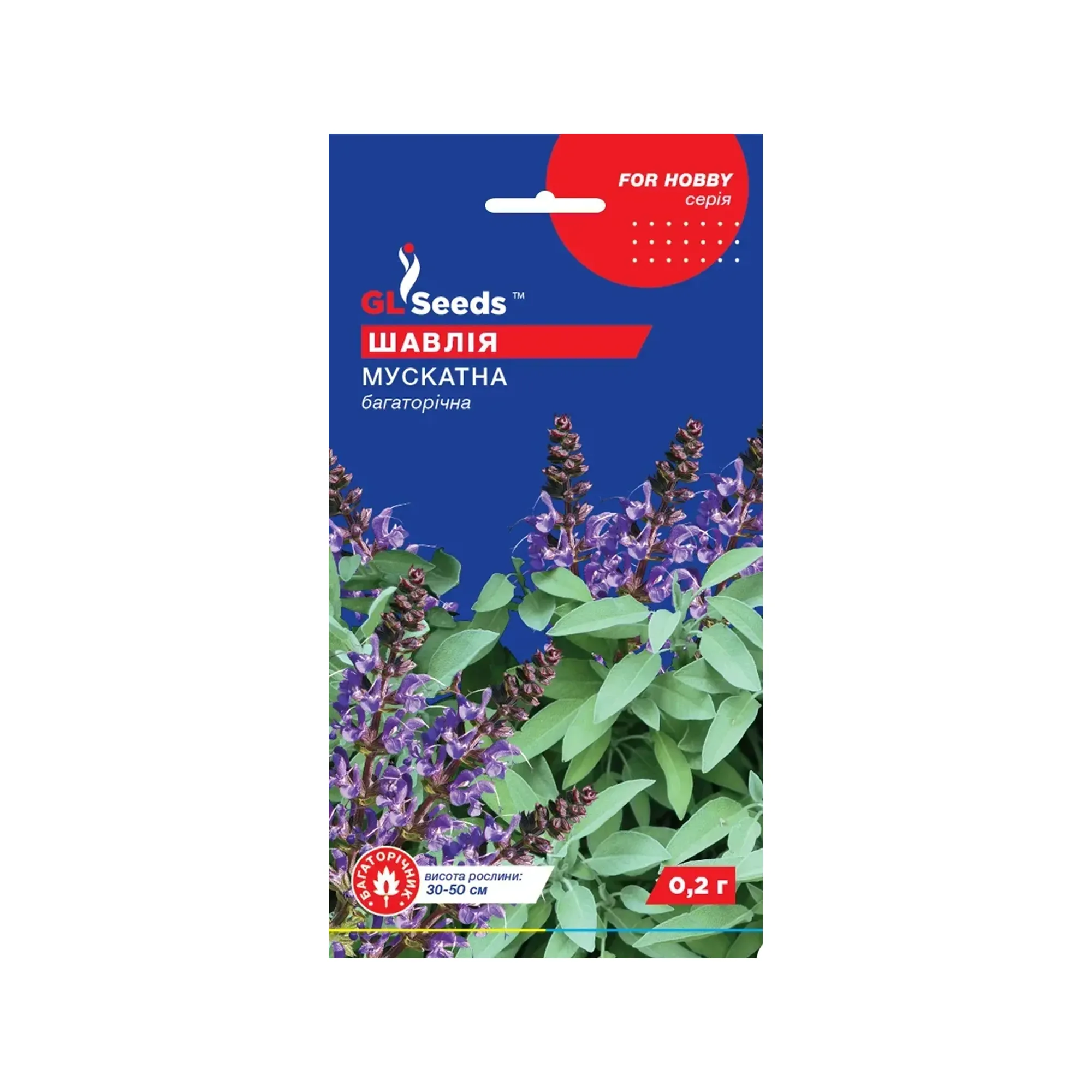 Насіння шавлії "Мускатна" 0,2 г GL Seeds