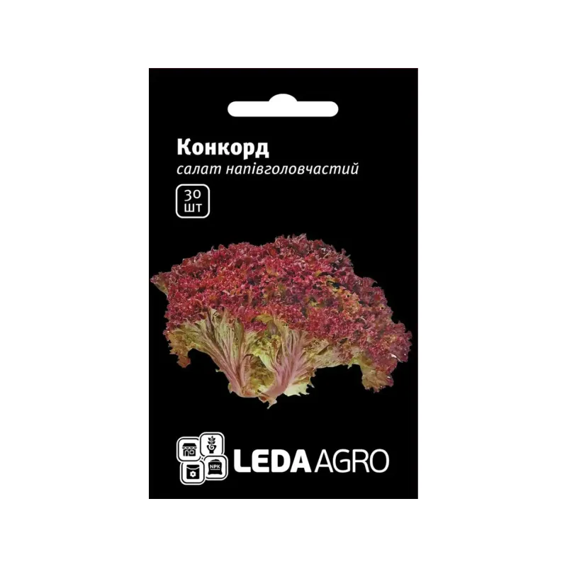 Насіння салату "Конкорд тип лолло росса" 30 шт LEDA AGRO 