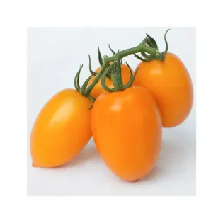 Насіння томату "Бенігара F1" 5 шт KITANO SEEDS