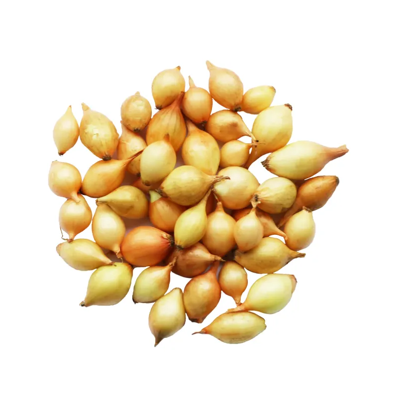 Озима цибуля-сівок Центуріон 10-21 мм 300 г BROER