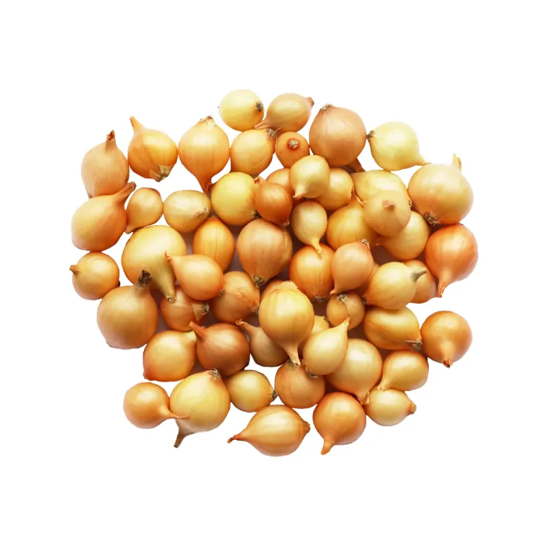 Озима цибуля-сівок Штутгартер Стенфілд 10-21 мм 500 г BROER