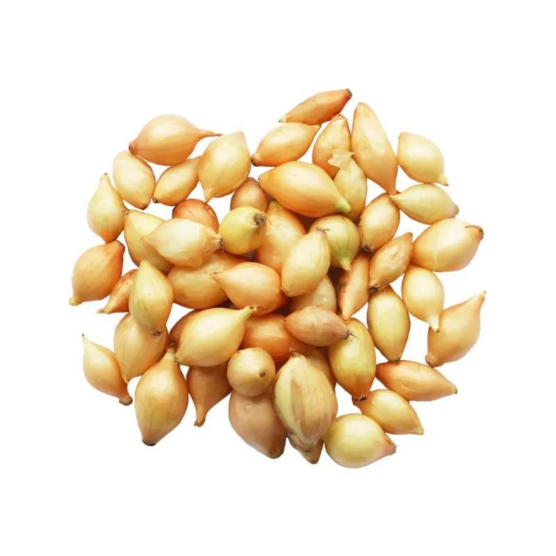 Озима цибуля-сівок Свіфт 10-21мм 300 г BROER