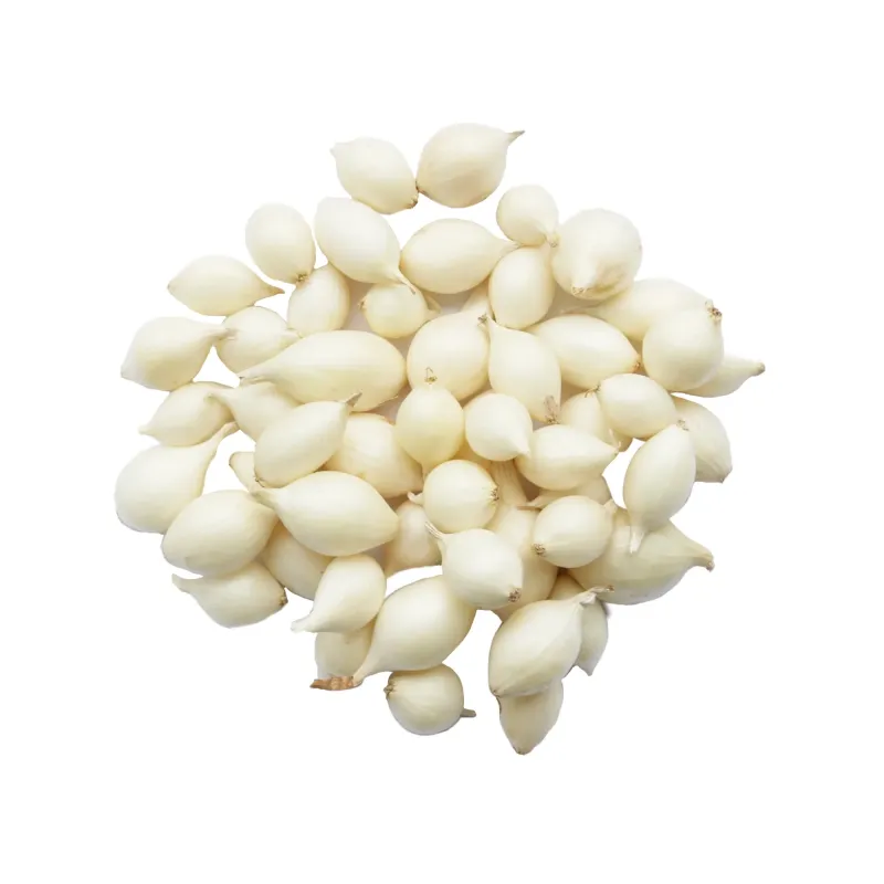 Озимый лук-севок Айсбеар 10–21 мм 500 г BROER