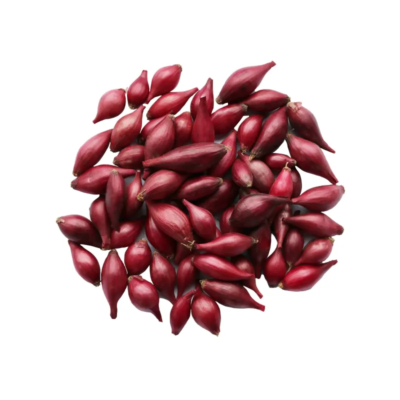 Озимый лук-севок Ред Барон 8–16 мм 500 г TOP