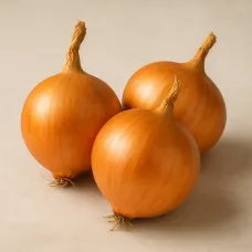 Озимый лук-севок Центурион 10–21 мм 300 г BROER