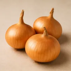 Озимый лук-севок Штутгартер Стенфилд 10–21 мм 300 г BROER