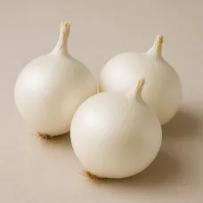 Озимый лук-севок Гледстоун 10–21 мм 300 г BROER