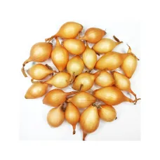 Лук сеянный Болеро 10-21 мм 500 г BROER