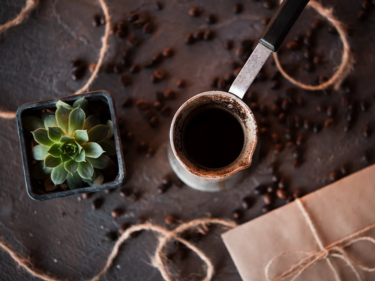 Кавова турка, зерна кави та сукулент &mdash; символ використання кавової гущі як натурального добрива для рослин